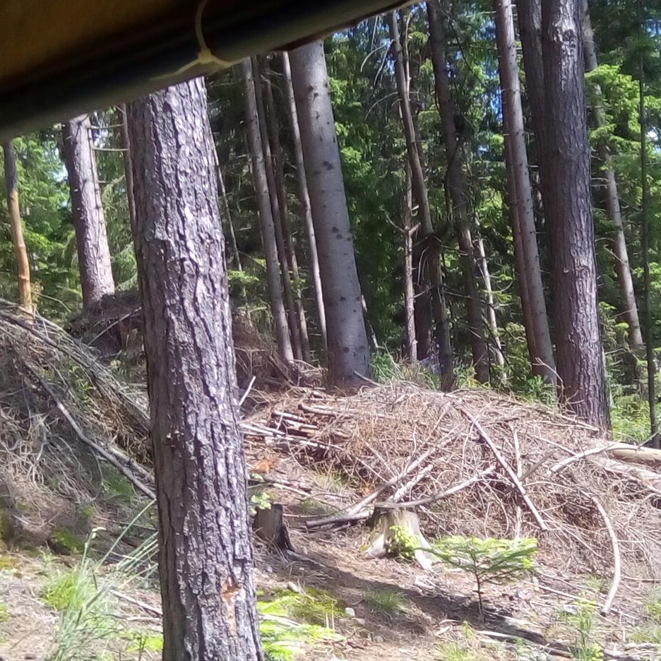 на горі Магура