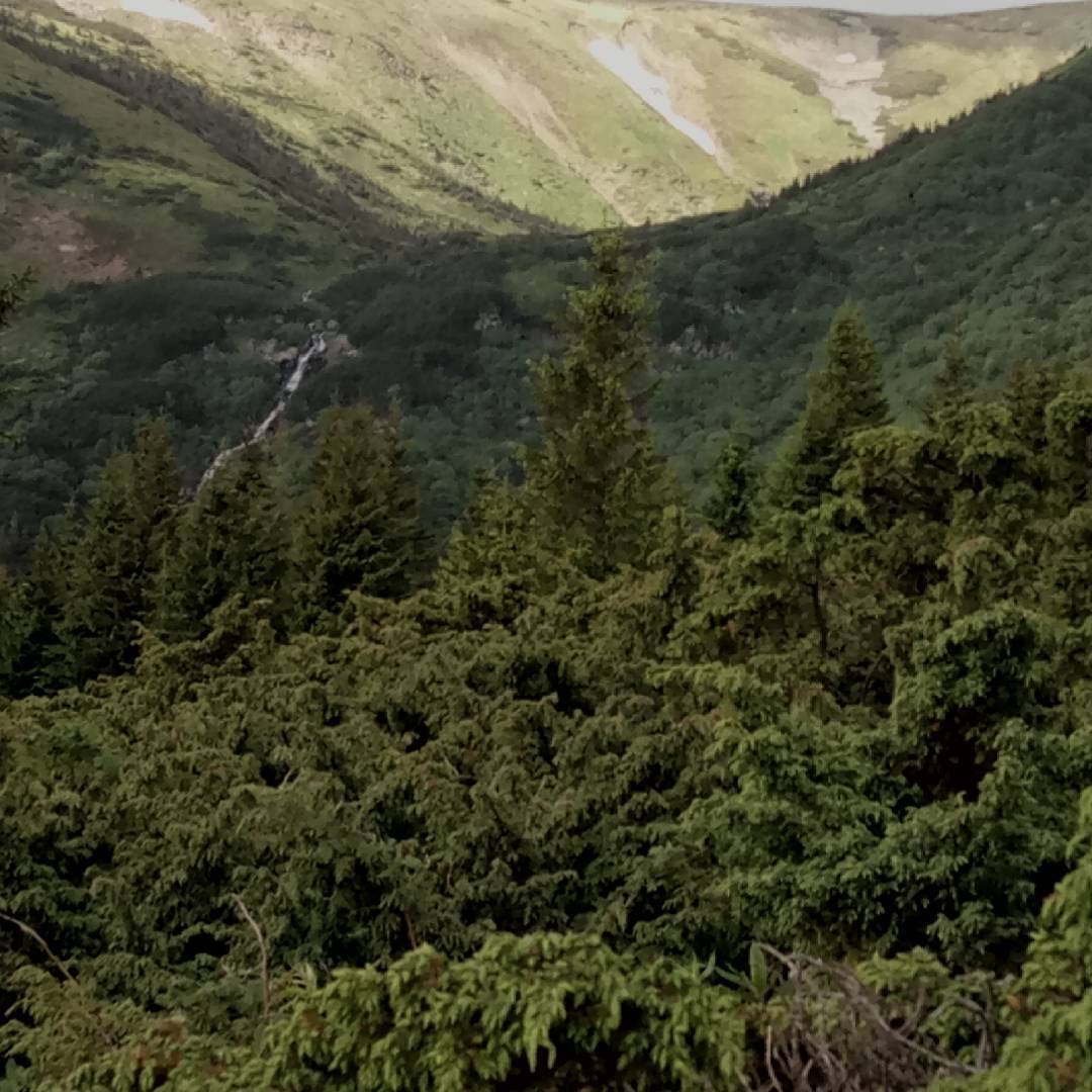 на вершині Говерли