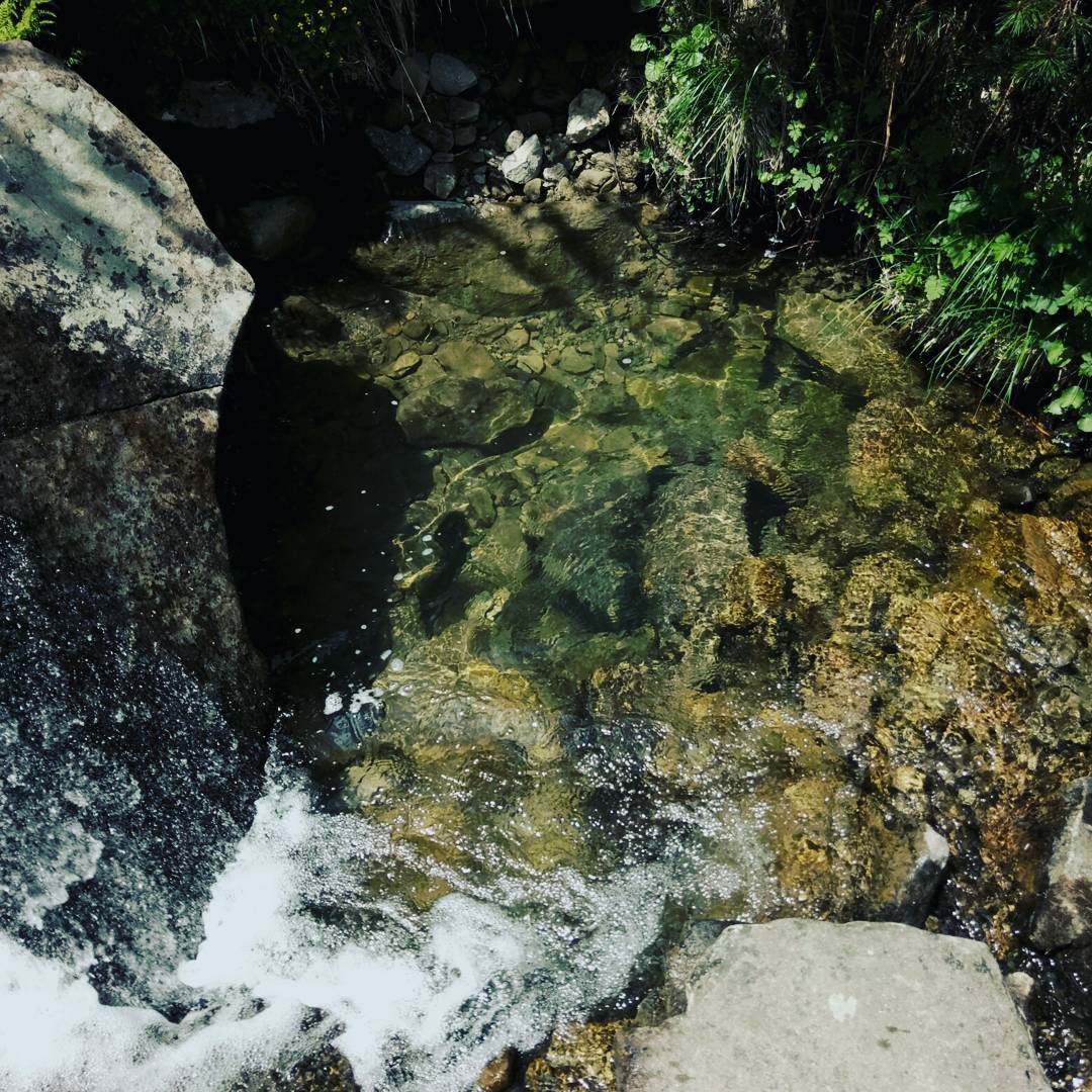 уздовж Прута