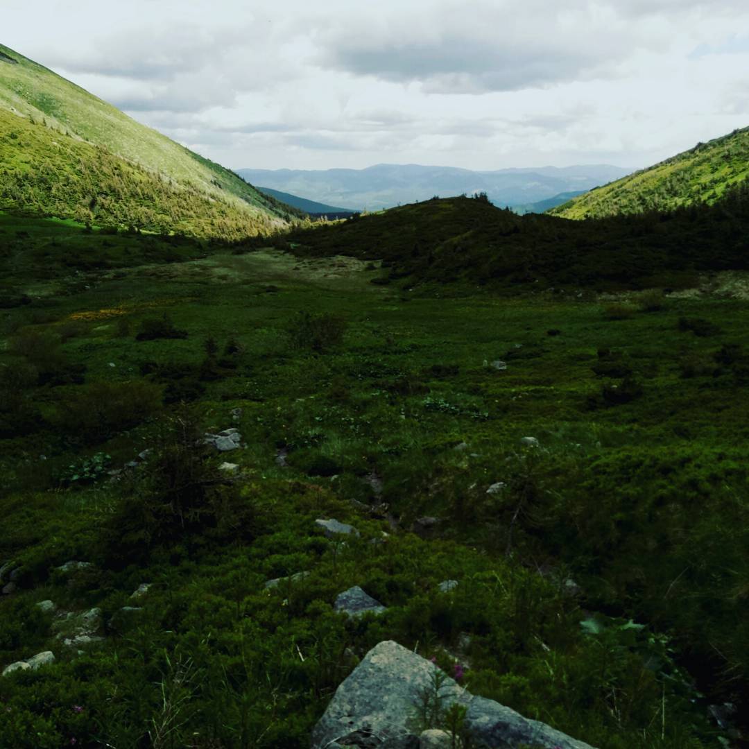 на вершині Говерли