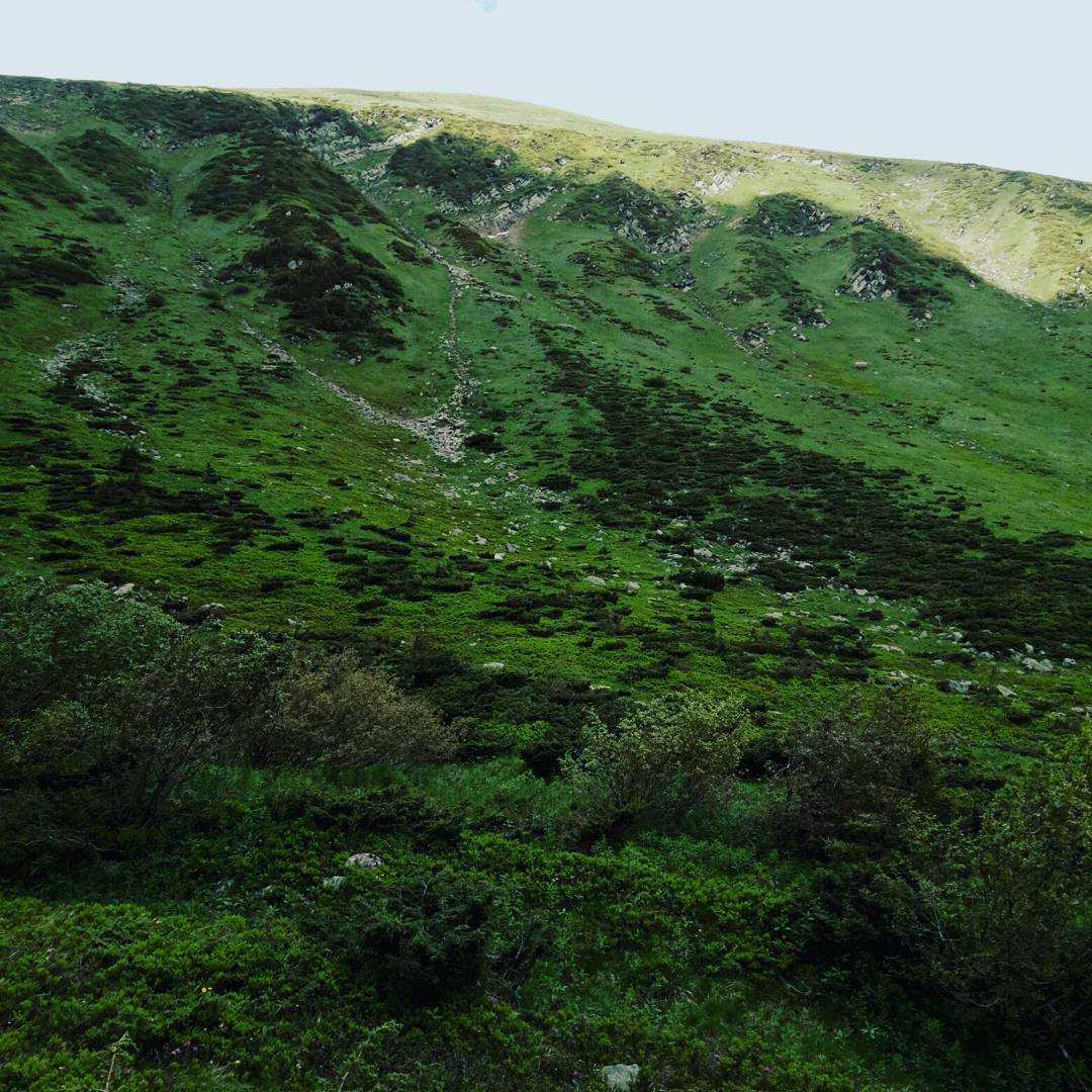 на вершині Говерли