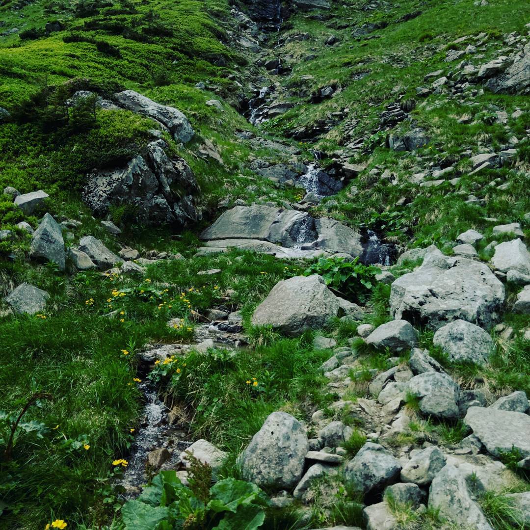 на вершині Говерли