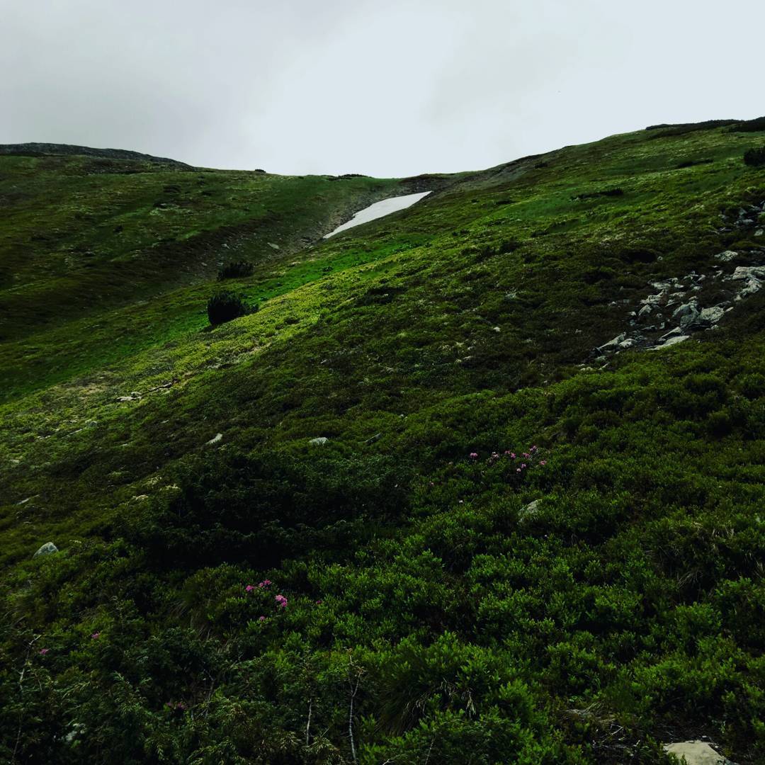 на вершині Говерли