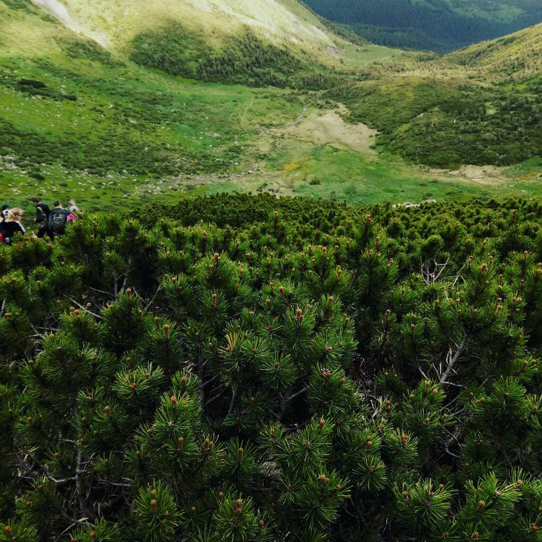 на вершині Говерли