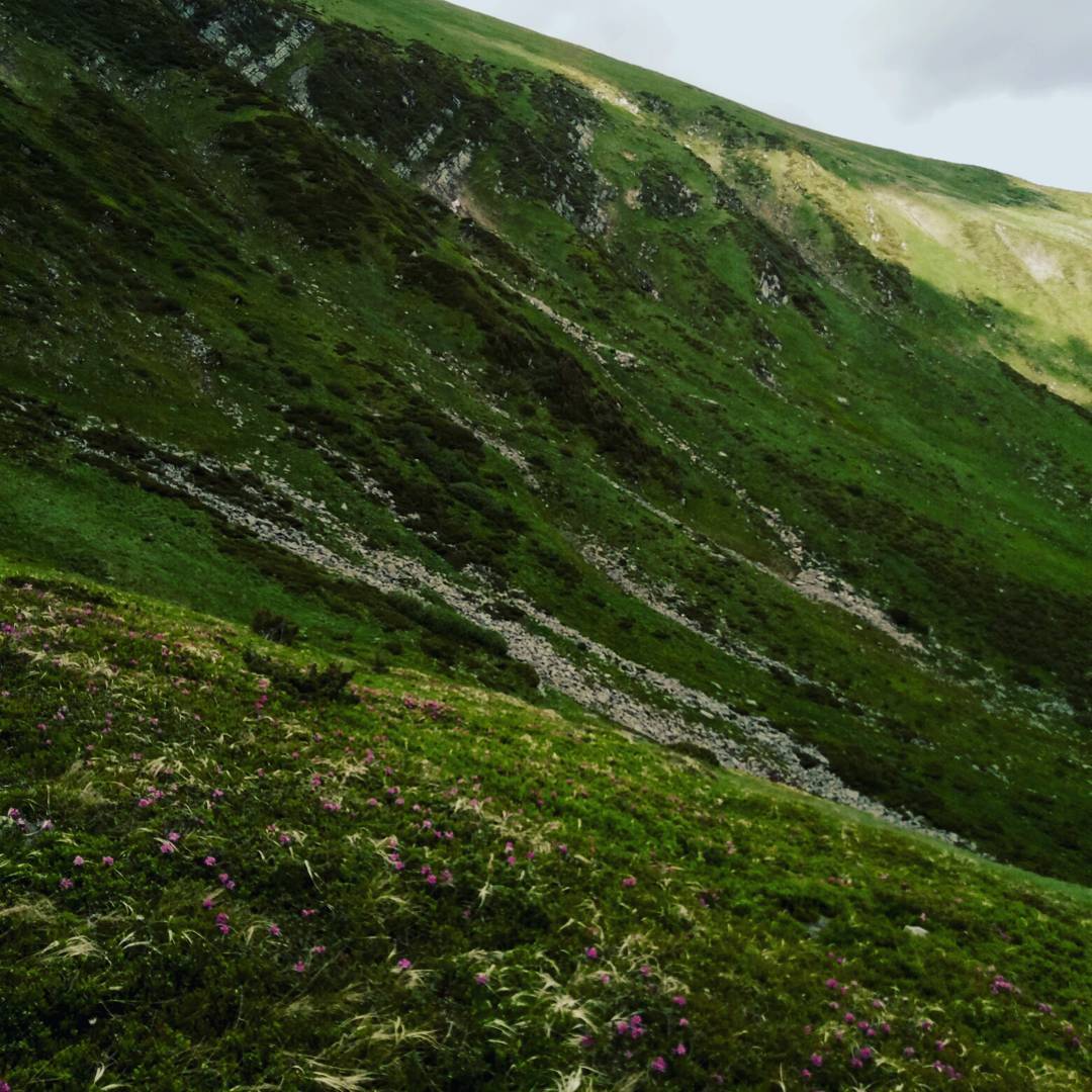 на вершині Говерли