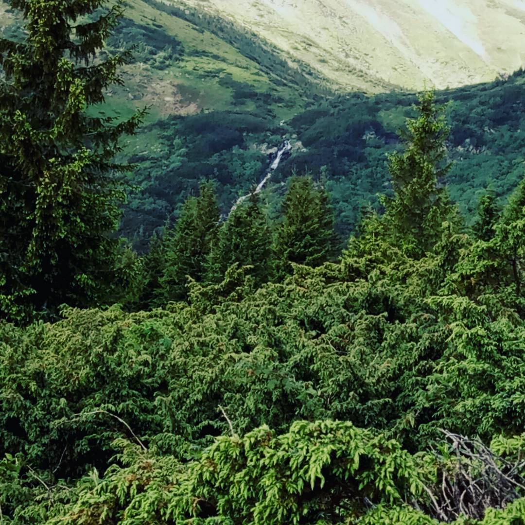 на вершині Говерли