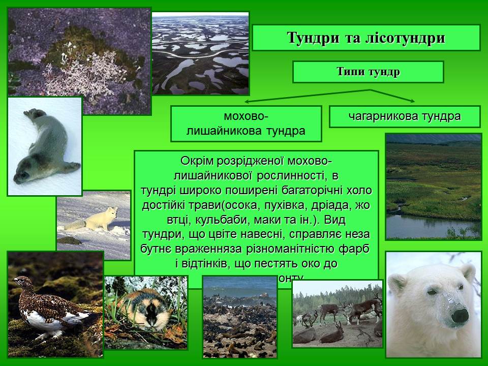 Природні зони Євразії